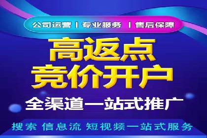 谷歌竞价广告与SEO结合的营销案例解析